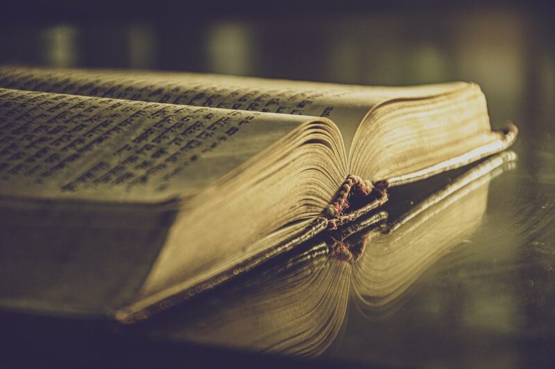 The Art of Storytelling: Why Humans Are Wired to Share and Listen to Stories The Art of Storytelling: Why Humans Are Wired to Share and Listen to Stories