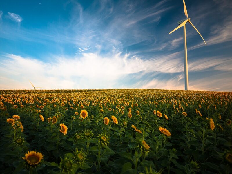 Why Renewable Energy Could Be the Ultimate Solution to Climate Change Why Renewable Energy Could Be the Ultimate Solution to Climate Change