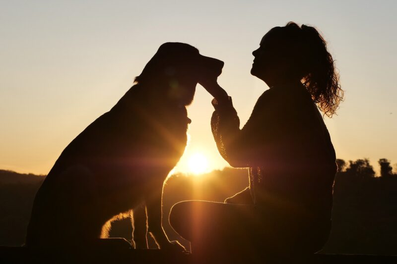 Unusual Animal Friendships: When Different Species Bond in Zoos and Homes Unusual Animal Friendships: When Different Species Bond in Zoos and Homes