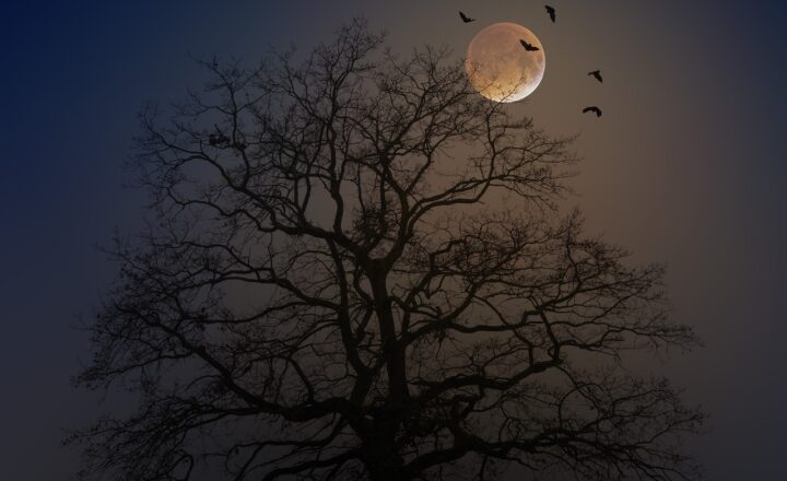 The Horror Movies With Twists That Will Leave You Reeling and Wanting More