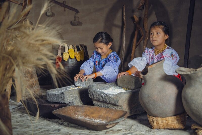 The Role of the Internet in Preserving Indigenous Cultures and Languages