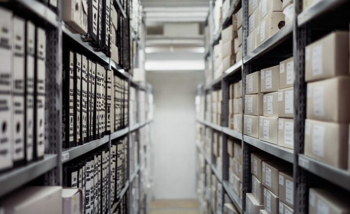 How the Internet Is Shaping the Way We Preserve and Share Historical Knowledge