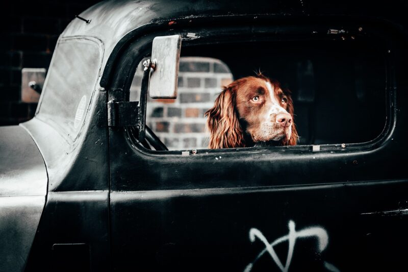 How to Turn Freelancing Into a Six-Figure Career With Consistent Income Streams How to Turn Freelancing Into a Six-Figure Career With Consistent Income Streams