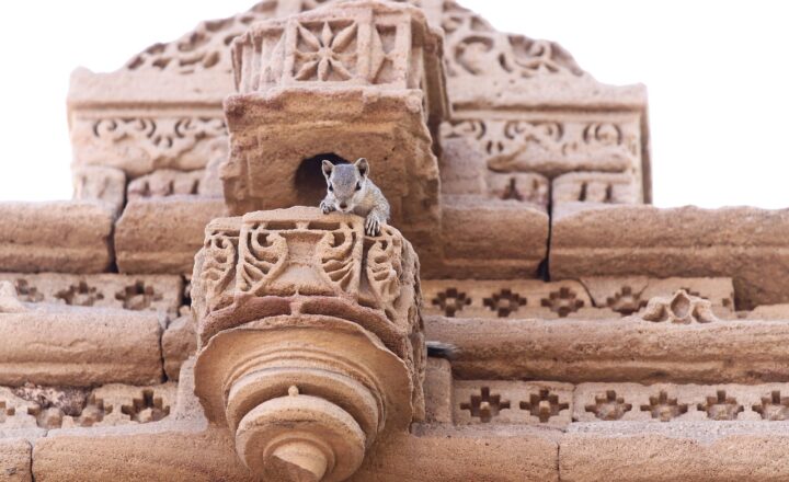 How Ancient Builders Aligned Their Monuments With Celestial Events to Honor Their Gods