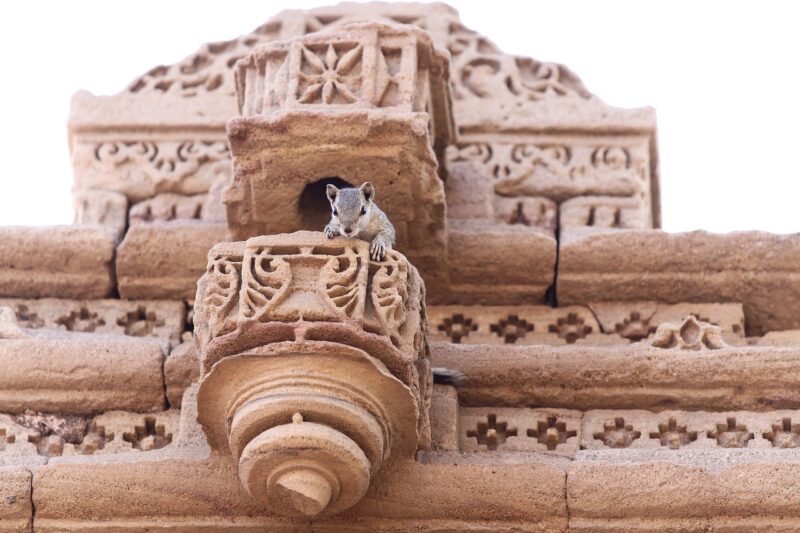 How the World’s Oldest Monuments Were Built Using Secrets We Are Only Beginning to Understand How the World’s Oldest Monuments Were Built Using Secrets We Are Only Beginning to Understand