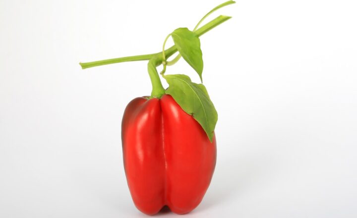 The Stories Behind the World’s Most Famous Bells and the Ceremonies They Accompany