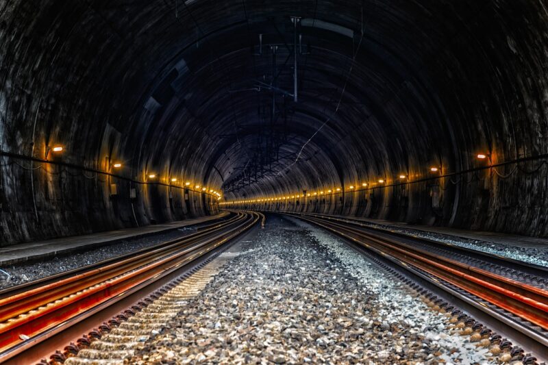 The Role of Underground Networks in Nature and How They Inspired Human Systems Like the Internet The Role of Underground Networks in Nature and How They Inspired Human Systems Like the Internet