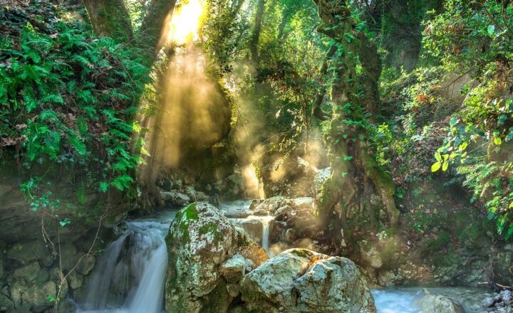 Why Rivers Like the Amazon, Nile, and Ganges Hold Mystical and Historical Importance Across Cultures