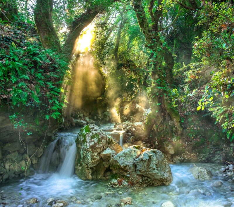 Why Rivers Like the Amazon, Nile, and Ganges Hold Mystical and Historical Importance Across Cultures Why Rivers Like the Amazon, Nile, and Ganges Hold Mystical and Historical Importance Across Cultures