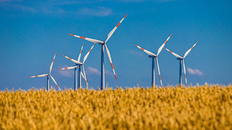 The Strangest and Most Creative Ways Humans Have Learned to Harness the Power of the Wind The Strangest and Most Creative Ways Humans Have Learned to Harness the Power of the Wind