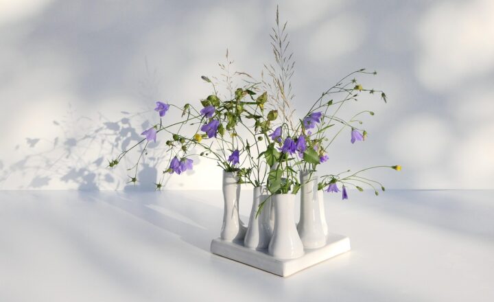 How Certain Flowers and Plants Became Symbols of Love, Mourning, and Celebration Across Cultures