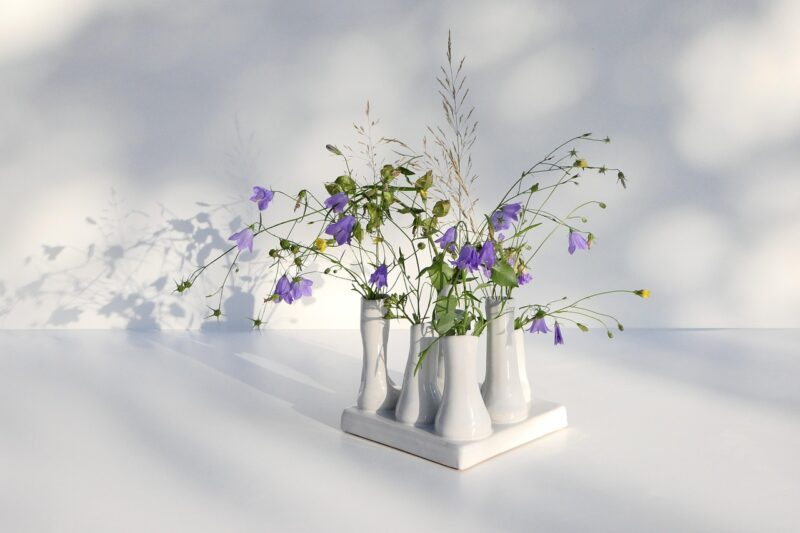 How Certain Flowers and Plants Became Symbols of Love, Mourning, and Celebration Across Cultures How Certain Flowers and Plants Became Symbols of Love, Mourning, and Celebration Across Cultures