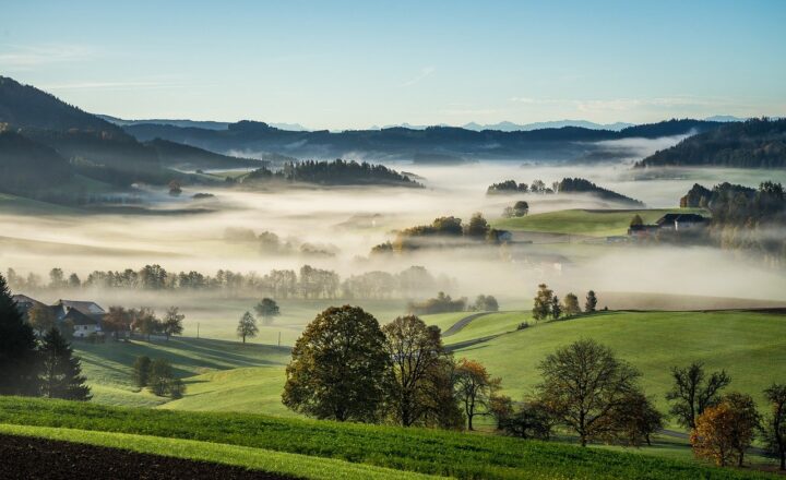 Why Certain Cities Became Centers of Art, Music, and Knowledge That Shaped Entire Generations