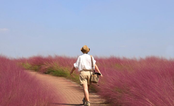 The Secrets Behind the Success of Travelers Who Turn Their Journeys Into Inspiring Stories