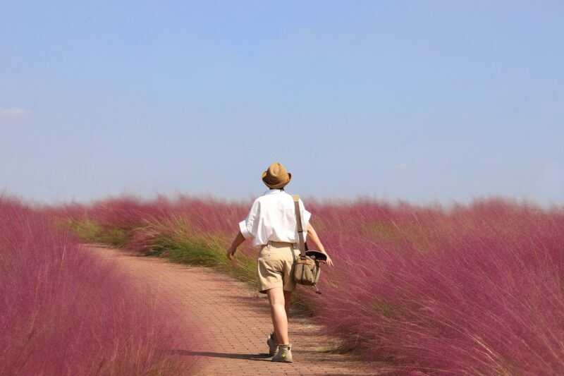 The Secrets Behind the Success of Travelers Who Turn Their Journeys Into Inspiring Stories The Secrets Behind the Success of Travelers Who Turn Their Journeys Into Inspiring Stories