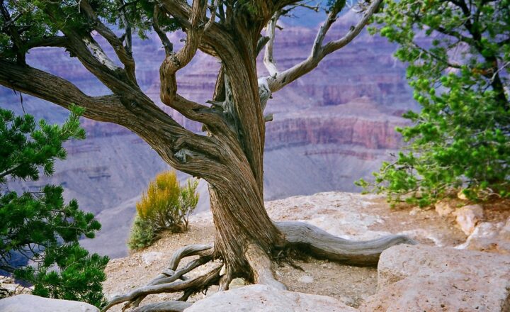 How Natural Wonders Like the Grand Canyon and Mount Everest Became Icons of Exploration and Adventure
