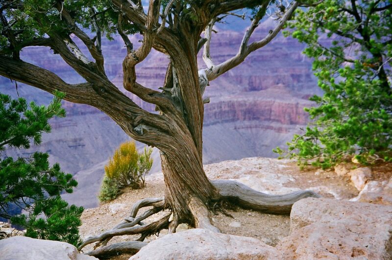 How Natural Wonders Like the Grand Canyon and Mount Everest Became Icons of Exploration and Adventure How Natural Wonders Like the Grand Canyon and Mount Everest Became Icons of Exploration and Adventure