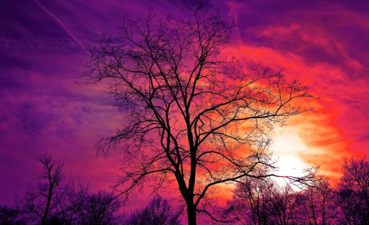 How Certain Colors Like Gold, Purple, and Red Became Associated With Wealth, Power, and Prestige