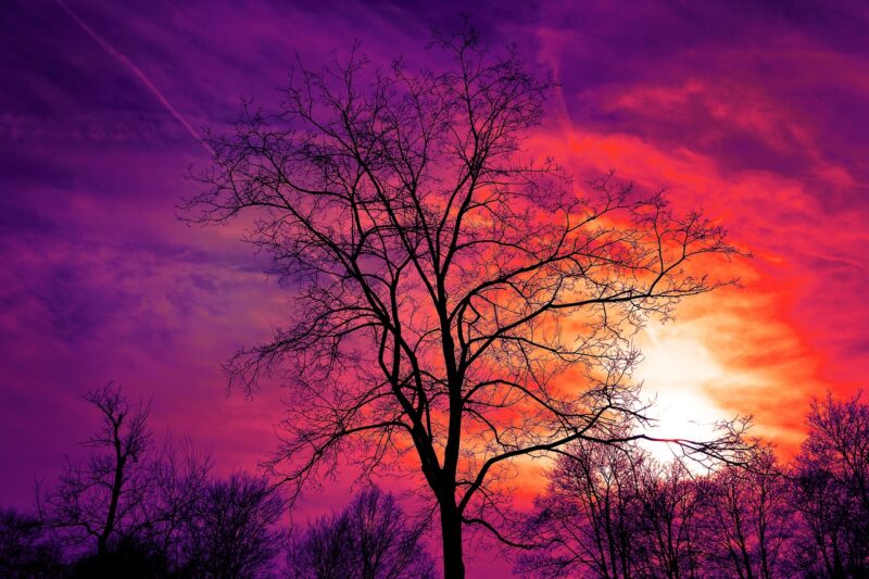 How Certain Colors Like Gold, Purple, and Red Became Associated With Wealth, Power, and Prestige How Certain Colors Like Gold, Purple, and Red Became Associated With Wealth, Power, and Prestige