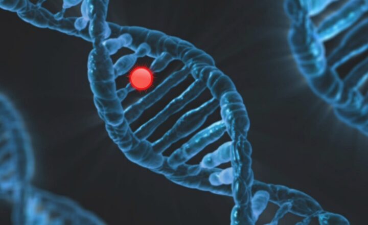 How Hidden Secrets in DNA Are Helping Scientists Rewrite the History of Human Evolution