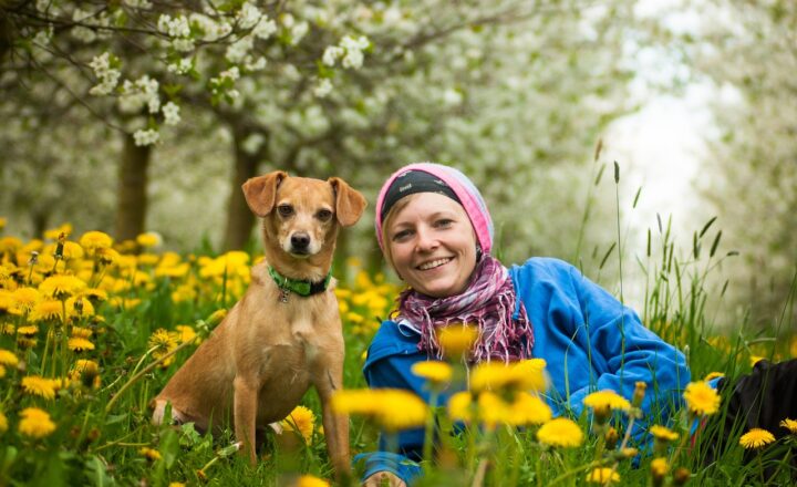 The Incredible Role of Animals in Human History as Companions, Heroes, and Symbols of Strength
