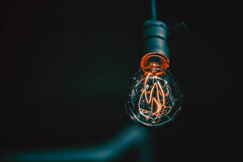 How the Patterns in Animal Behavior Have Inspired Human Innovation in Design and Technology How the Patterns in Animal Behavior Have Inspired Human Innovation in Design and Technology
