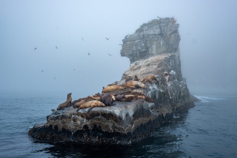 The Scariest Islands Where Legends of the Supernatural Come to Life The Scariest Islands Where Legends of the Supernatural Come to Life