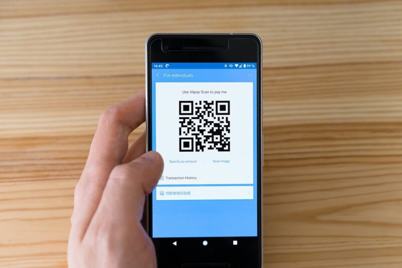 The Evolution of E-Commerce Payment Systems and What the Future Holds The Evolution of E-Commerce Payment Systems and What the Future Holds