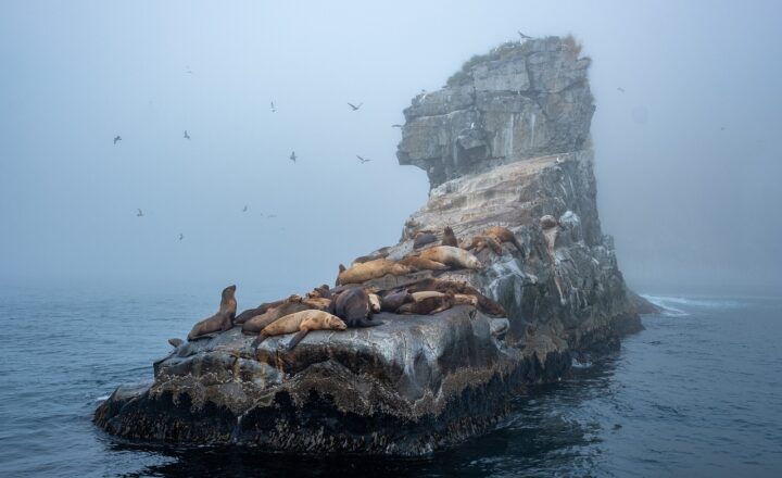 The Scariest Islands You Wouldn’t Want to Visit Alone After Dark