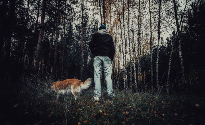 The Most Iconic Scary Movies That Defined Each Decade in Cinema History