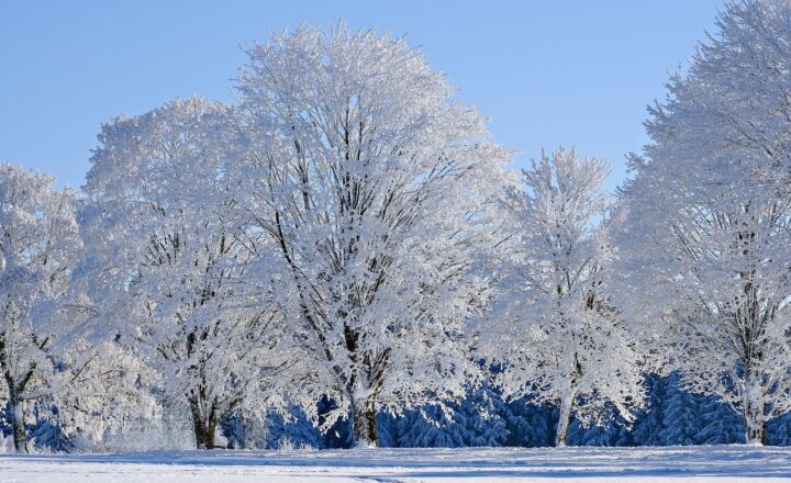How Patterns in Sand and Snow Inspired Mathematical Theories