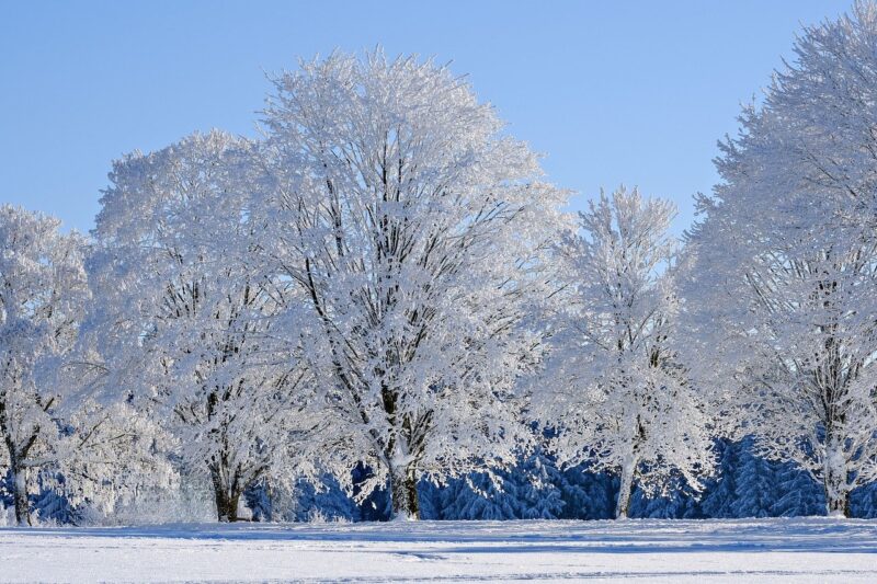 How Patterns in Sand and Snow Inspired Mathematical Theories How Patterns in Sand and Snow Inspired Mathematical Theories