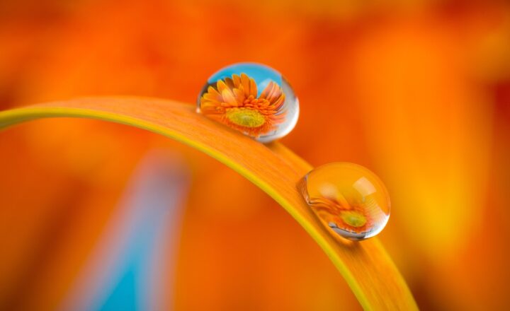 Why Certain Colors Have Symbolized Royalty, Power, and Spirituality