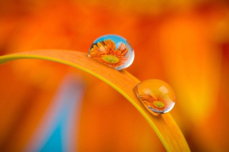 Why Certain Colors Have Symbolized Royalty, Power, and Spirituality Why Certain Colors Have Symbolized Royalty, Power, and Spirituality