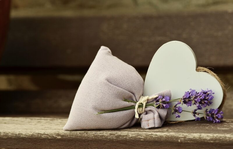 The Science Behind Why Some Smells Are More Memorable Than Others The Science Behind Why Some Smells Are More Memorable Than Others