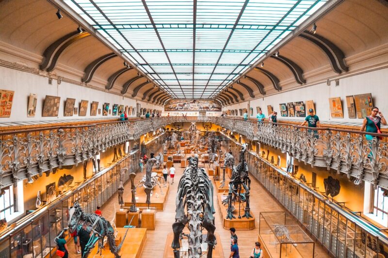 How the Development of Roads Changed How Humans Connected and Traveled How the Development of Roads Changed How Humans Connected and Traveled