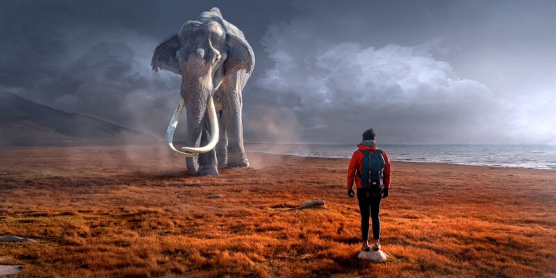 Why Certain Mythical Creatures Continue to Captivate Us Across Generations Why Certain Mythical Creatures Continue to Captivate Us Across Generations