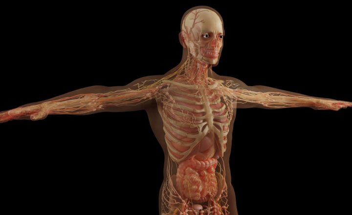 The Science of How the Body Heals Itself After Injuries