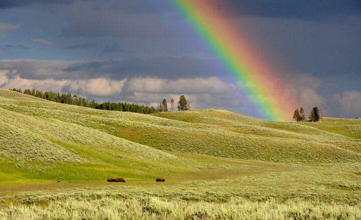 How the Colors of the Rainbow Inspired Countless Myths and Stories