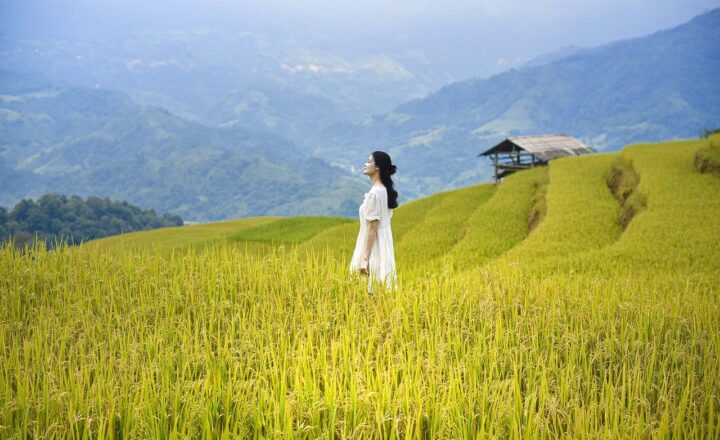 The Unsung Heroes of Aviation: Celebrating Women Who Shaped Flight History