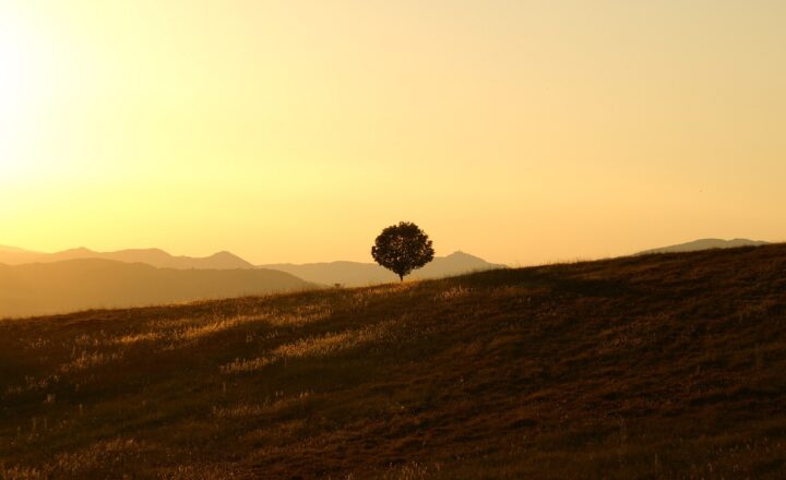 Unveiling the Art of Being Alone: Embracing Solitude in a Connected World