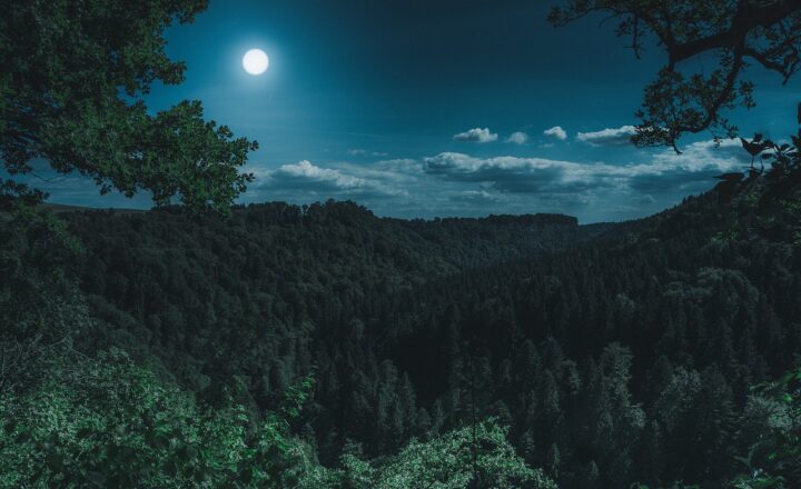 How the Moon Has Inspired Writers, Poets, and Dreamers for Centuries