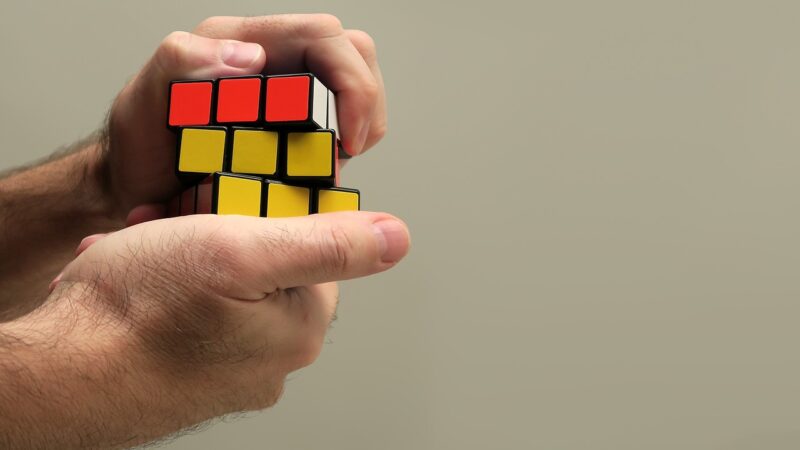 The Art of Problem Solving: How Great Minds Have Overcome Challenges