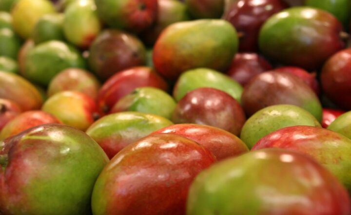 Deliciously Strange: Exploring the World's Weirdest Foods