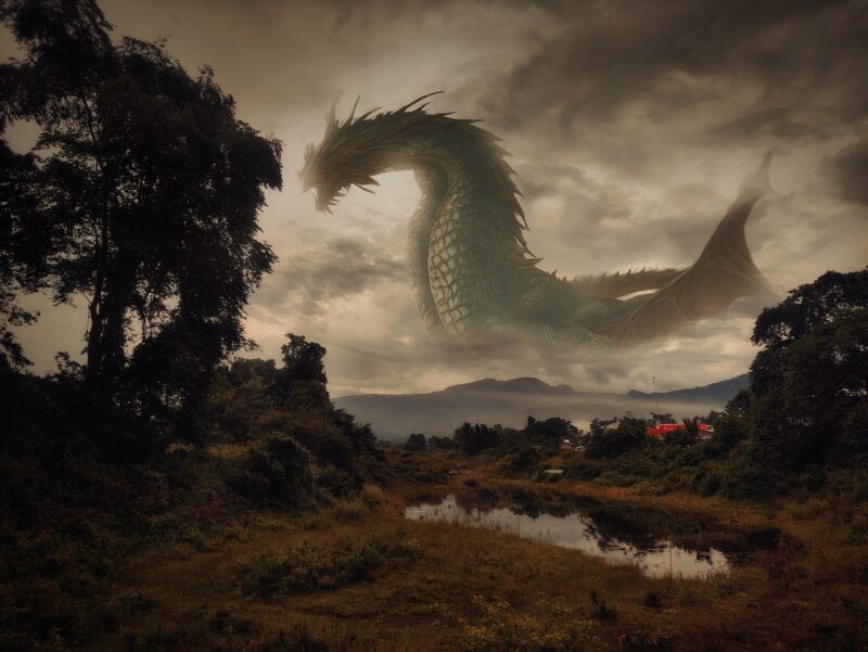 Exploring the Weird and Wonderful World of Cryptids Exploring the Weird and Wonderful World of Cryptids