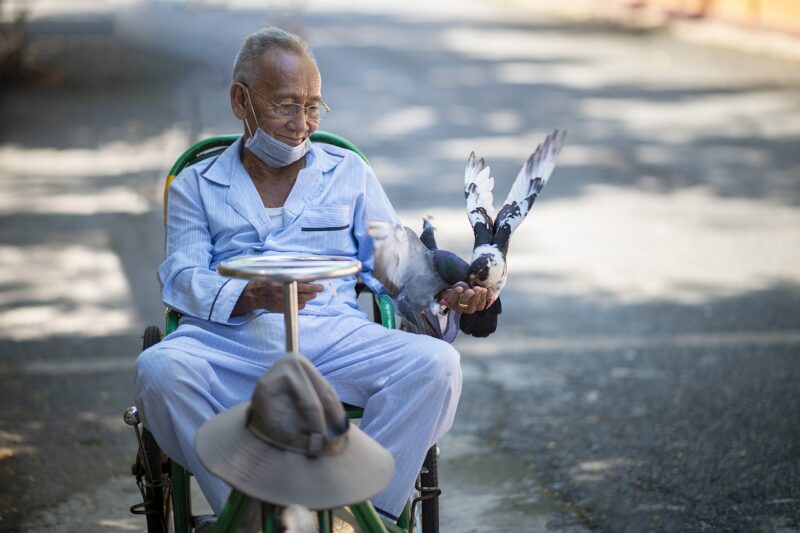 The Fascinating Bond: Understanding the Deep Connection Between Humans and Pets The Fascinating Bond: Understanding the Deep Connection Between Humans and Pets