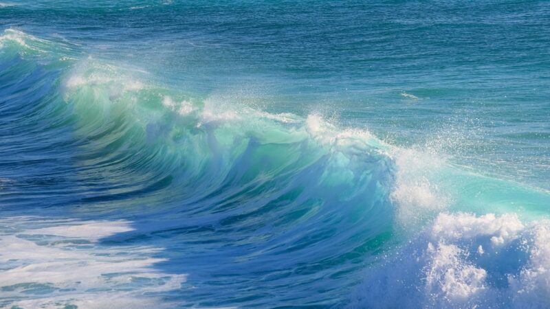 Weird Phenomena You Won't Believe Actually Exist in Nature Weird Phenomena You Won't Believe Actually Exist in Nature