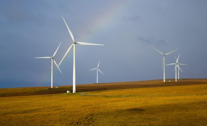 Exploring Sustainability: How Small Changes Can Make a Big Impact on Our Planet