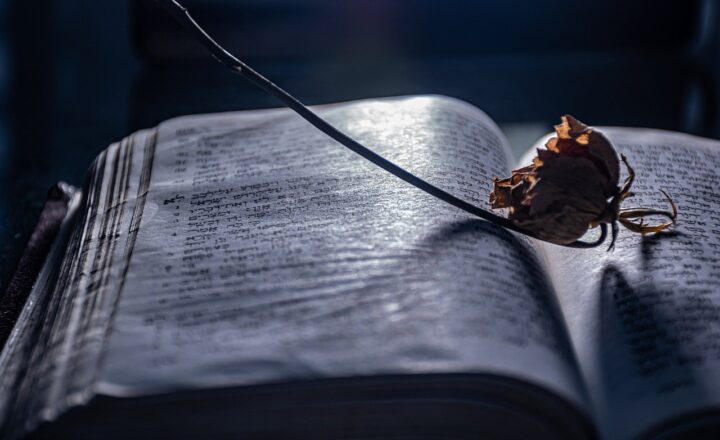 The Untold Stories of History: Why They Matter Today