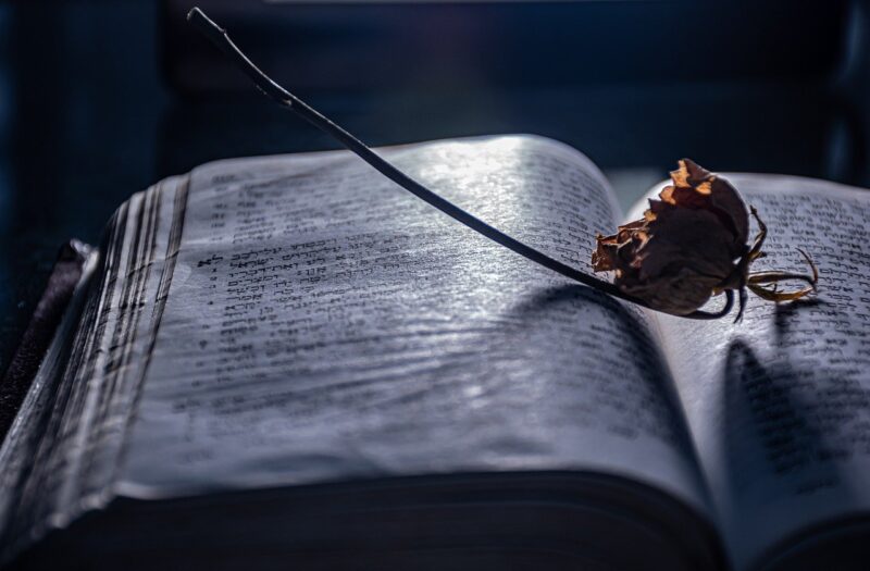 The Untold Stories of History: Why They Matter Today